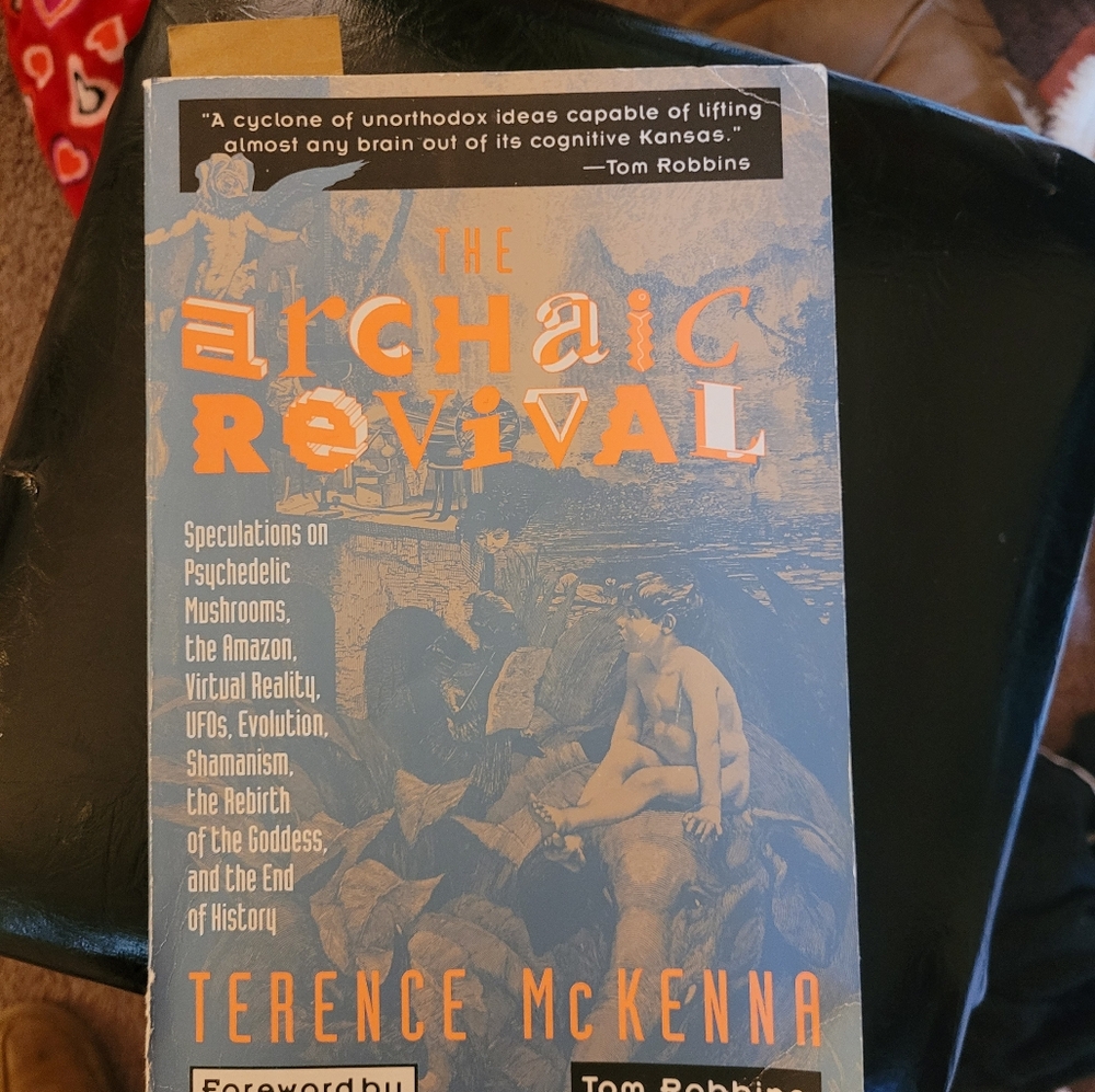 Terence McKenna book The Archaic Revival